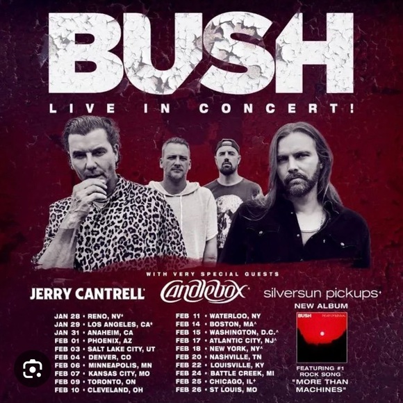 BUSH 2023 Tour T Shirt Tee T-Shirt SM Unisex Rock Alternative Gavin Rossdale 90s - Picture 8 of 8